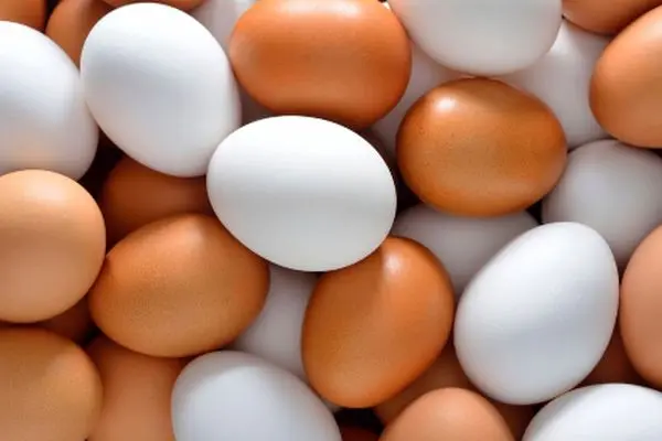 بسته 15 عددی تخم مرغ با چه قیمتی به دستتان می‌رسد؟ + جدول
