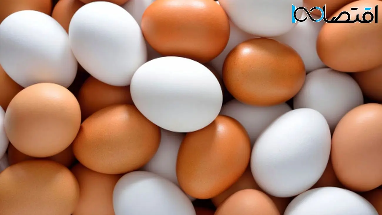 بسته 15 عددی تخم مرغ با چه قیمتی به دستتان میرسد؟ + جدول