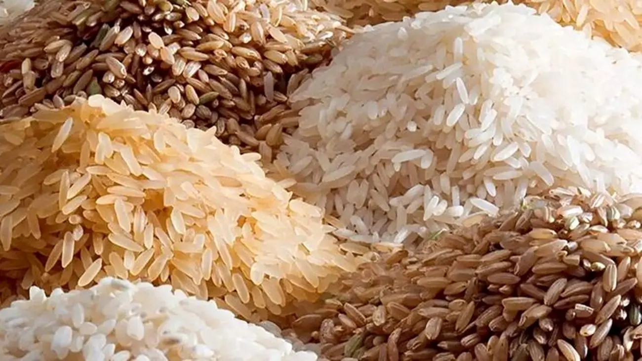 فساد به واردات برنج رسید؟