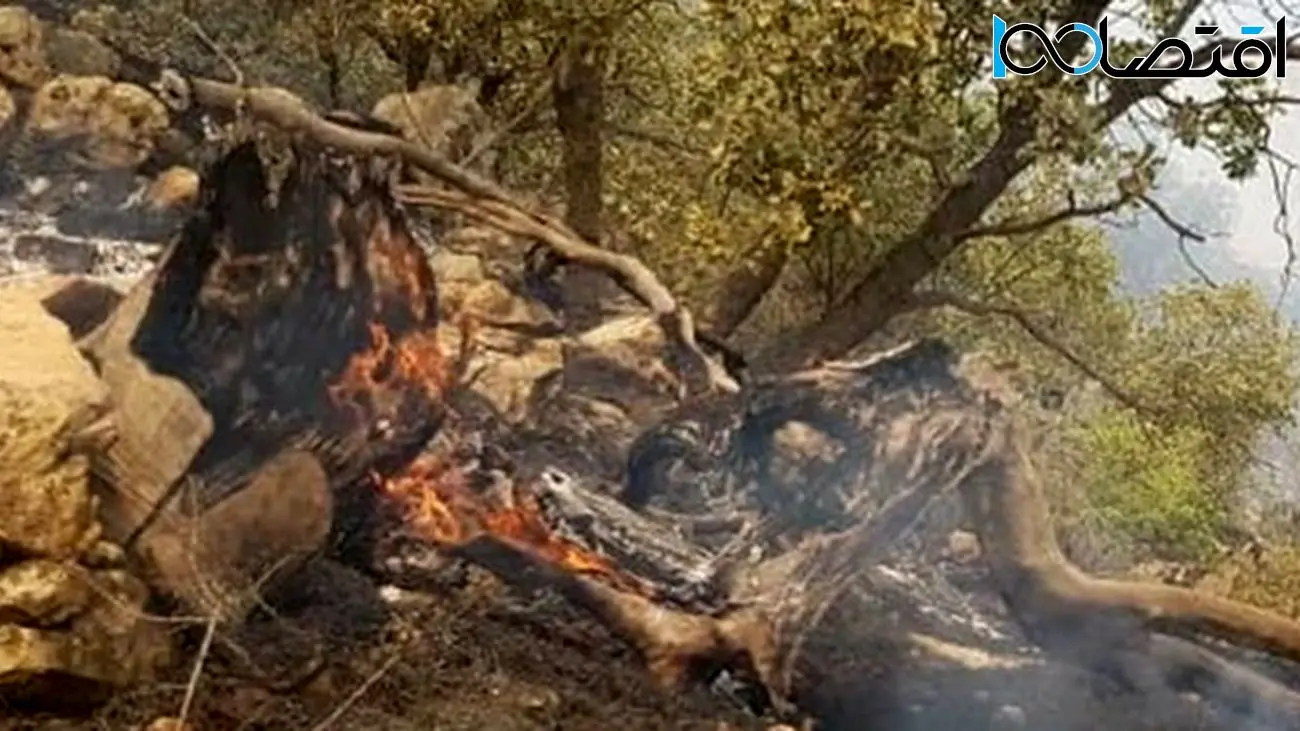 ۷هزار مترمربع جنگلهای نوشهر در آتش سوخت