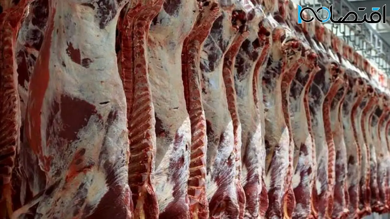 وعده جدید درباره قیمت گوشت | مقایسه قیمت گوشت در دو هفته اخیر