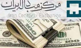 قیمت دلار امروز ۲ اسفند ۱۴۰۲ / یورو و ارزهای دیگر چند + فیلم