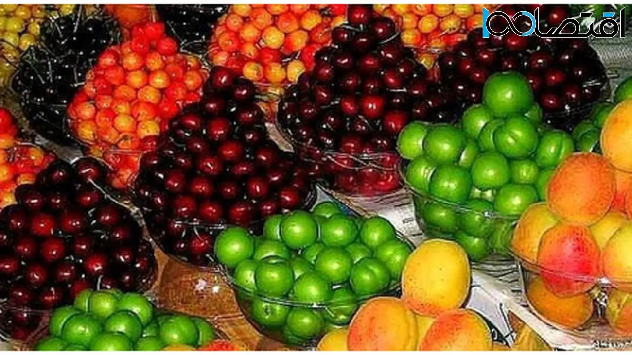 ارزان شدن چشمگیر سیبزمینی/ چرا قیمتها در بازار میوه کاهش یافت؟