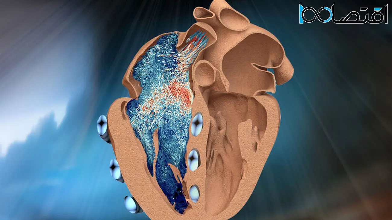 مهندسان یک نمونه رباتیک بطن راست قلب را طراحی کردند