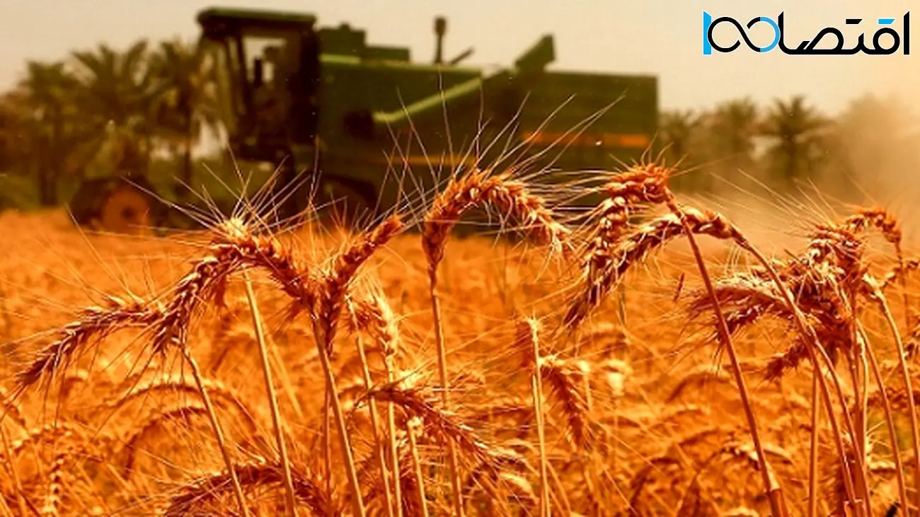جدیدترین خبرها درباره افزایش قیمت خرید تضمینی گندم