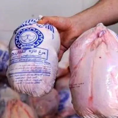 اعتراض شدید مرغداران به قیمت جدید مرغ منجمد و صادراتی در بازار 
