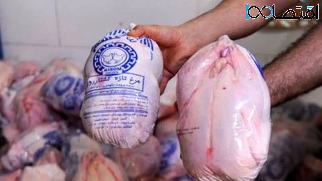 اعتراض شدید مرغداران به قیمت جدید مرغ منجمد و صادراتی در بازار