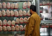 آشفته بازار مرغ ادامه دارد / مرغ 110 هزار تومانی نداریم، تماس بگیرید حتما برخورد می کنیم 