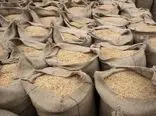 قیمت برنج 10 کیلویی از نیم میلیون هم رد شد