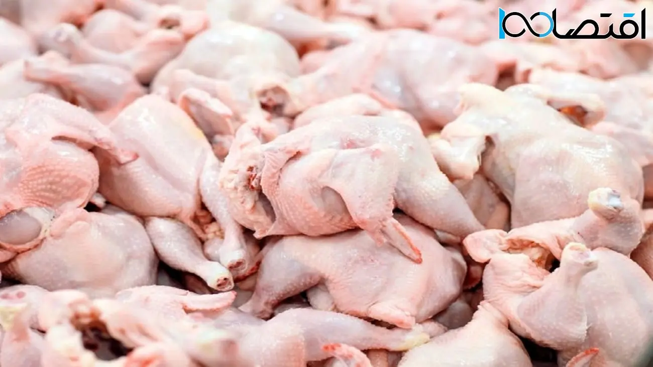 خبرهای جدید درباره قیمت مرغ | افزایش قیمت متوقف نخواهد شد