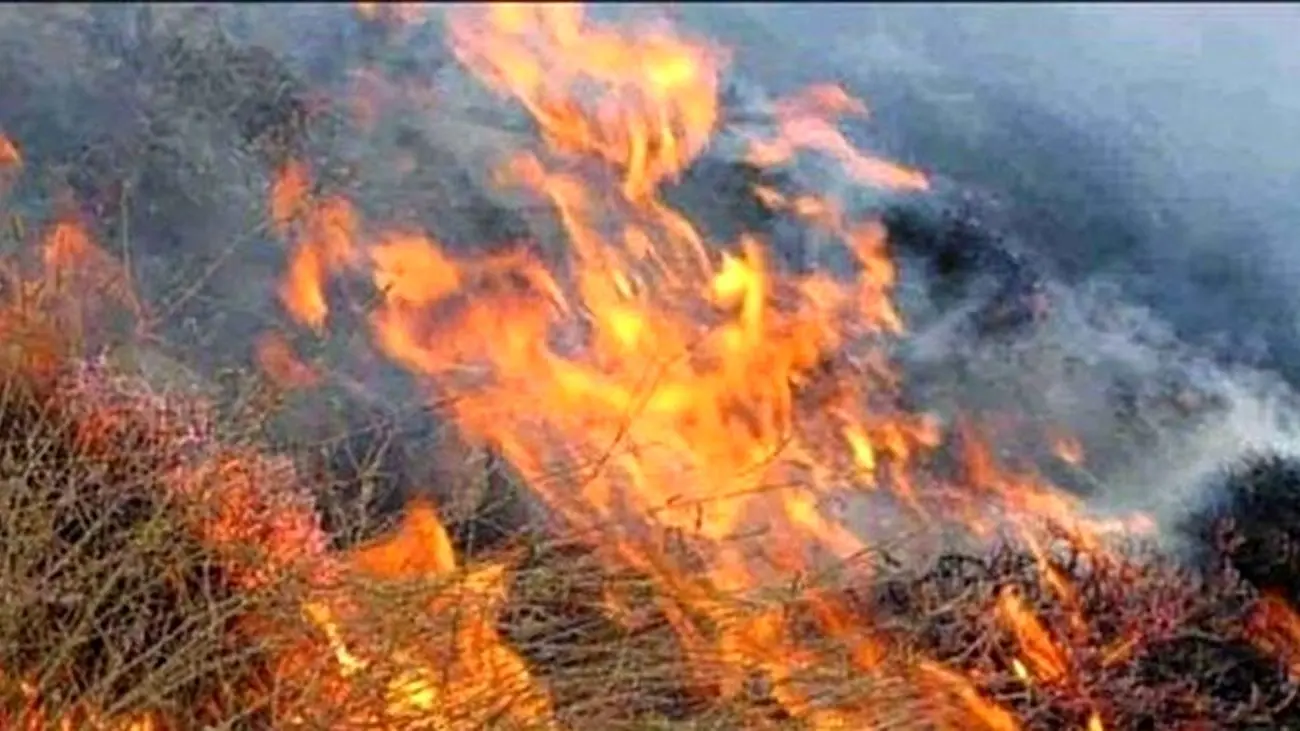 آتش به جان جنگل مریوان افتاد /اعزام بالگرد از تهران برای اطفای حریق