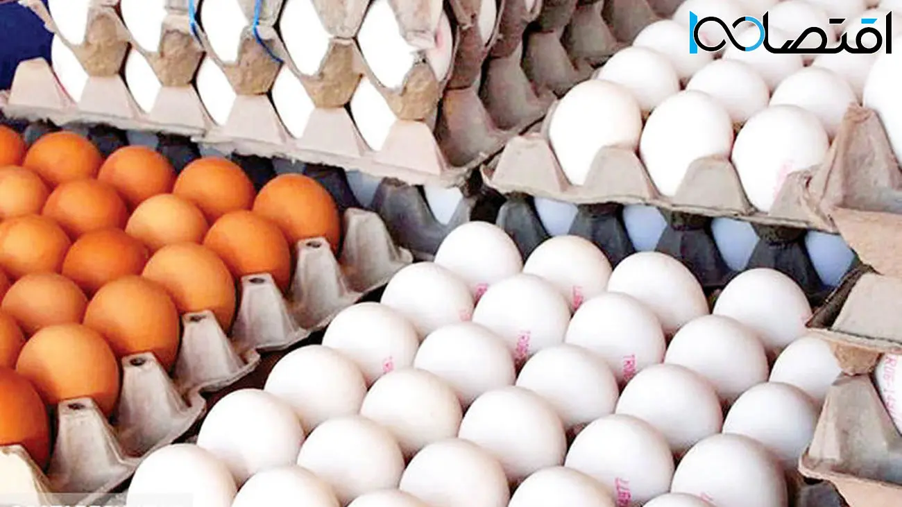 قیمت جدید تخم مرغ در بازار / هر شانه ۳۰ عددی چند؟
