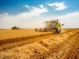 افزایش ۲۰ درصدی ارزش ریالی صادرات محصولات کشاورزی و غذایی