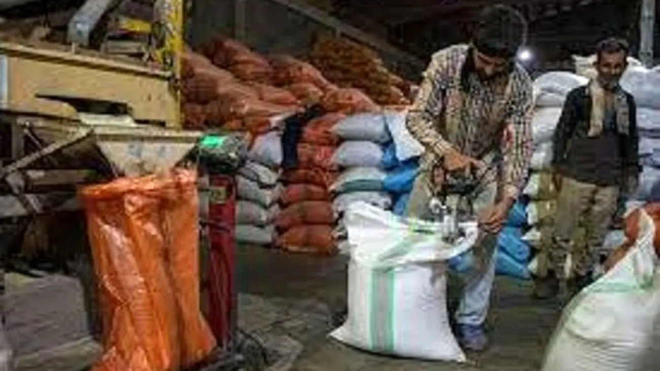 جدول قیمت جدید برنج ایرانی در بازار / طارمی چند بریم خوبه؟!