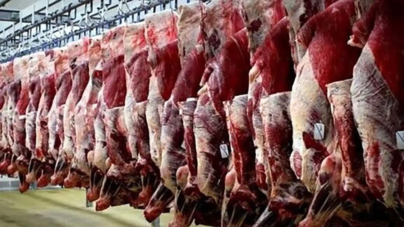 قیمت گوشت ارزان‌تر می‌شود؟ /  جدیدترین وضعیت بازار گوشت قرمز 