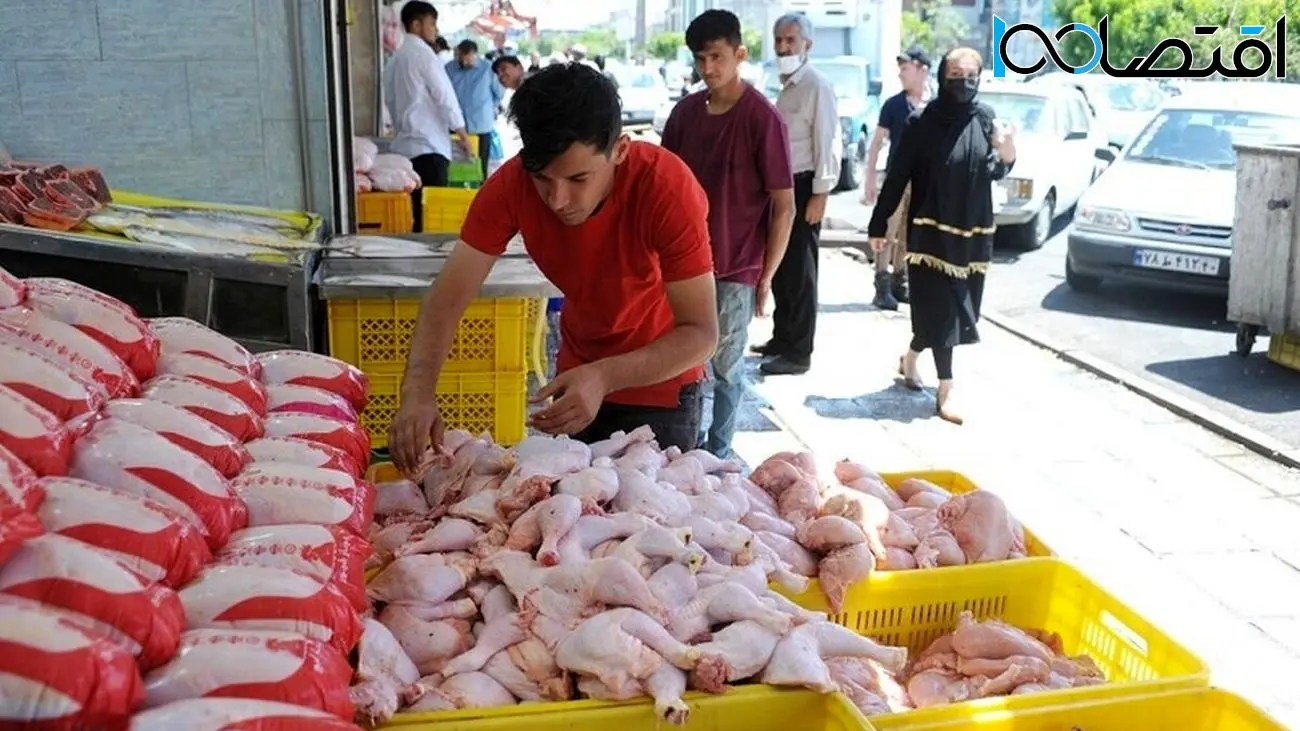 گوشت مرغ ارزان می‌شود؟