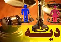 نرخ دیه در ماه حرام اعلام شد / بدون بیمه تردد نکنید
