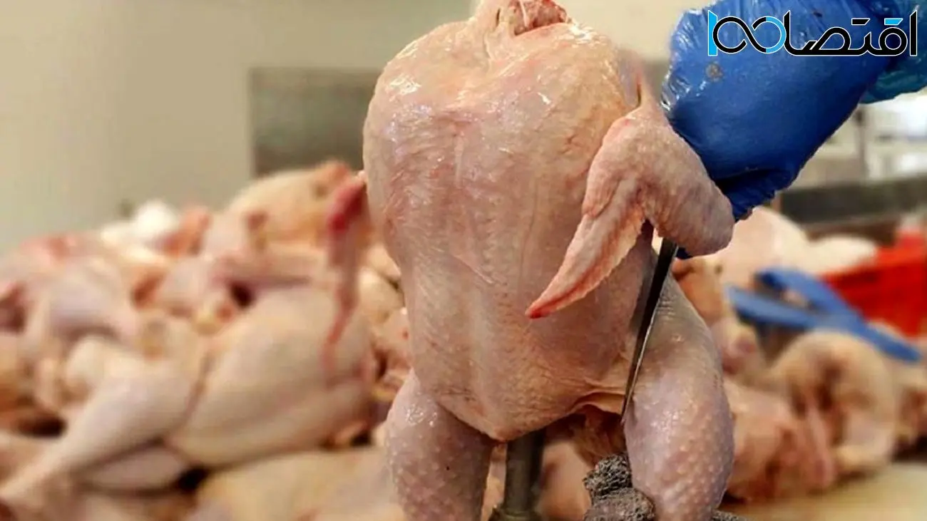 کاهش قیمت  مرغ در بازار امروز 16 مرداد  /  قیمت بال مرغ ۱۱۲ هزار تومان شد! 