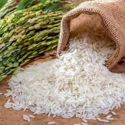 قیمت برنج ایرانی امروز ۱۷ خرداد ۱۴۰۴ / برنج نیم دانه ایرانی چند؟ + جدول