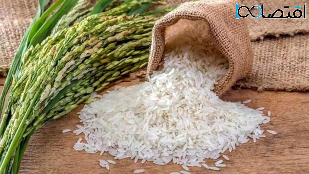 قیمت برنج ایرانی امروز ۱۷ خرداد ۱۴۰۴ / برنج نیم دانه ایرانی چند؟ + جدول