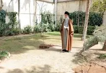  کاشتن نهال توسط رهبر انقلاب اسلامی در روز درختکاری + فیلم