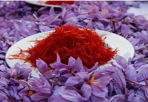 زعفران در بورس چه می کند؟