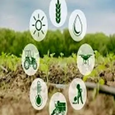 کشت و صنعت