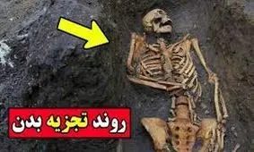 فیلم +16 از لحظه به لحظه تجزیه شدن جسد انسان بعد از مرگ / از شب اول قبر تا چهلم !