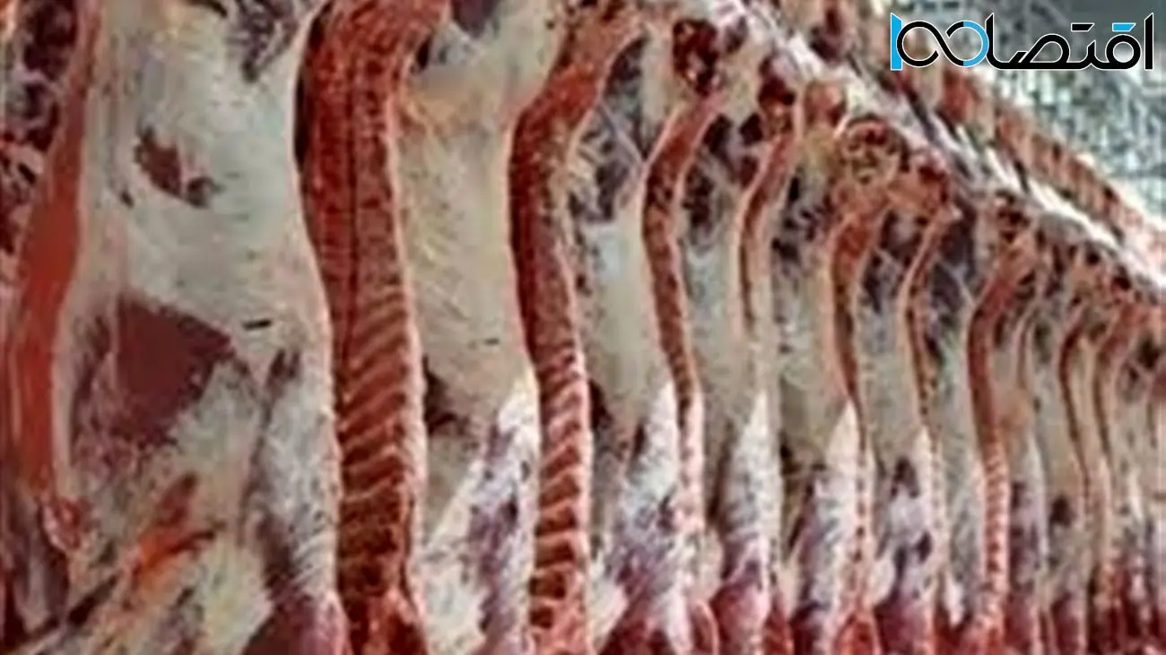 توزیع گوشت گوسفندی خارجی در تهران / هر کیلو چند ؟!
