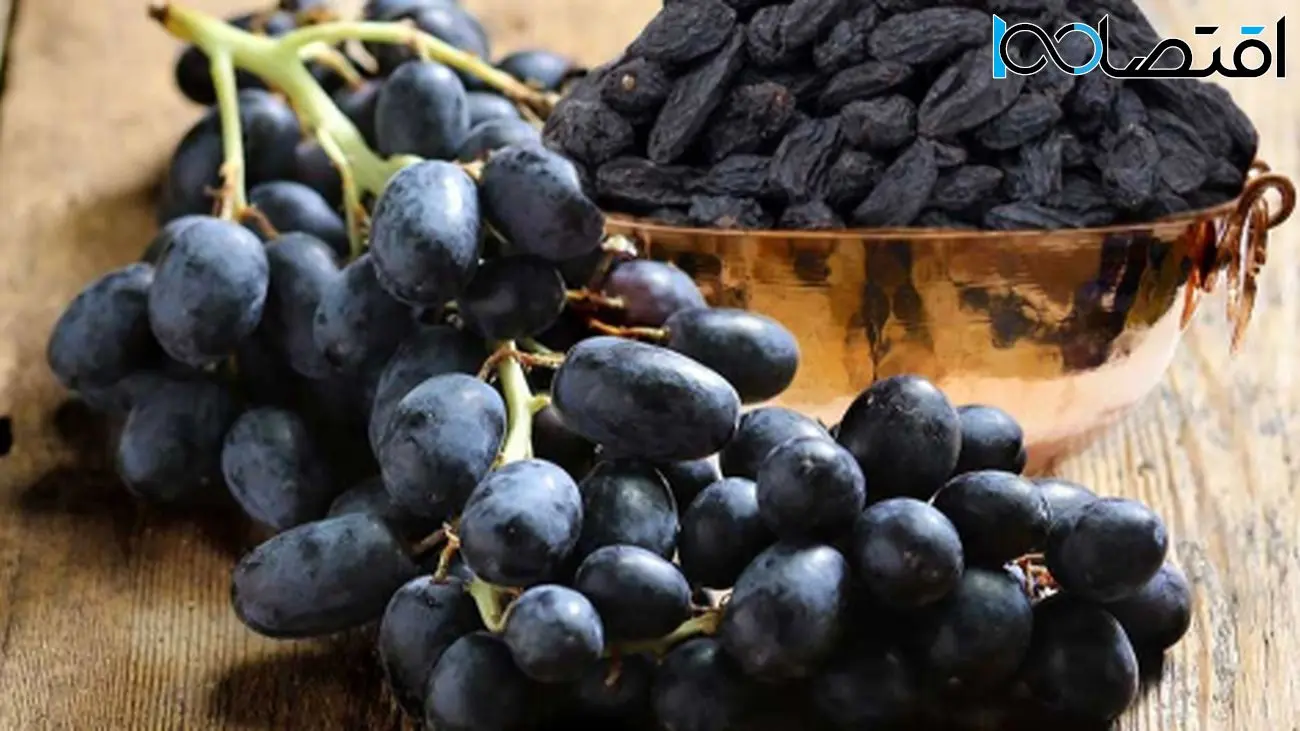 معجزهای در هر دانه مویز! چرا همه هر روز مویز میخورند؟