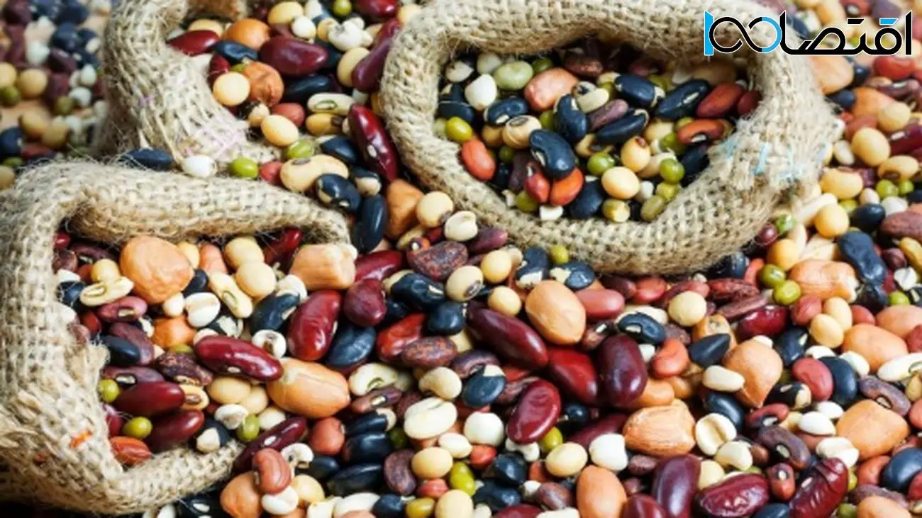 تا اطلاع ثانوی صادرات حبوبات ممنوع شد + علت