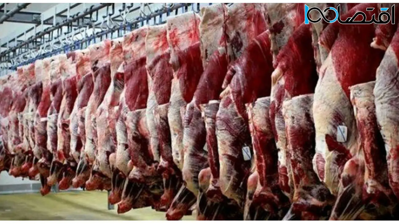بالا رفتن قیمت گوشت با وجود افزایش واردات / چرا گوشت گران‌تر شد؟