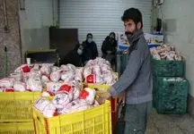 مرغ ها هم صاحب سامانه هوشمند شدند