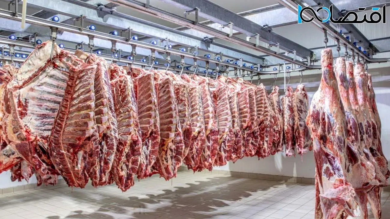 قیمت گوشت امروز ۱۶ تیر اعلام شد + جدول