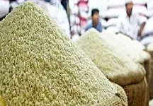 برنج پاکستانی ارزان‌تر از همیشه + جدول قیمت جدید