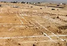 خبر ویژه/ این افراد صاحب زمین رایگان دولتی می‌شوند