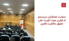 حمایت همکاران سیستم از اولین موت کورت ملی حقوق مالکیت فکری