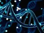 محققان: این دو ژن‌ باعث می‌شود بیماران سرطانی به شیمی درمانی پاسخ مثبت ندهند
