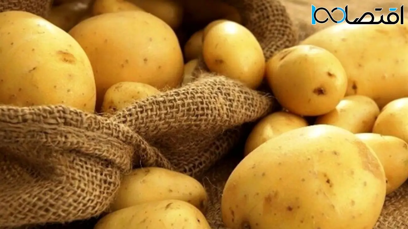 سیبزمینی و پیاز رکورد ارزانی را شکستند!