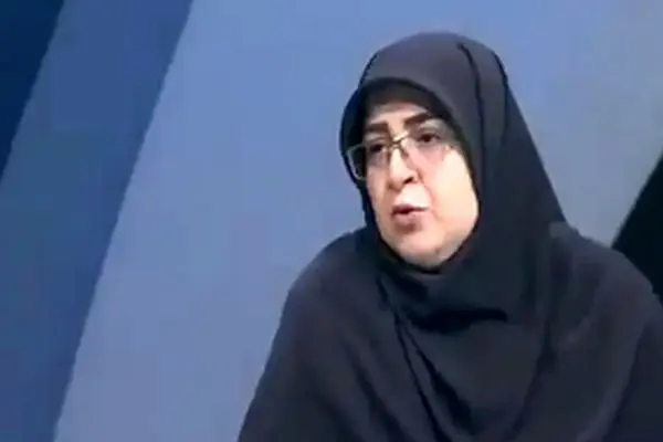 افشاگری سخنگوی دولت درباره توقف پروازها
