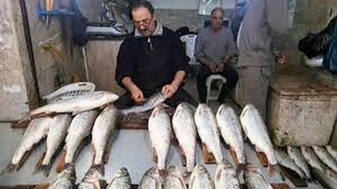 قیمت ماهی گران شد / هر کیلو به 800 هزار تومان رسید !