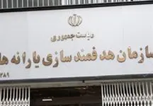 سرپرست سازمان هدفمندسازی یارانه‌ها تغییر کرد / تغییرات یارانه جدی شد
