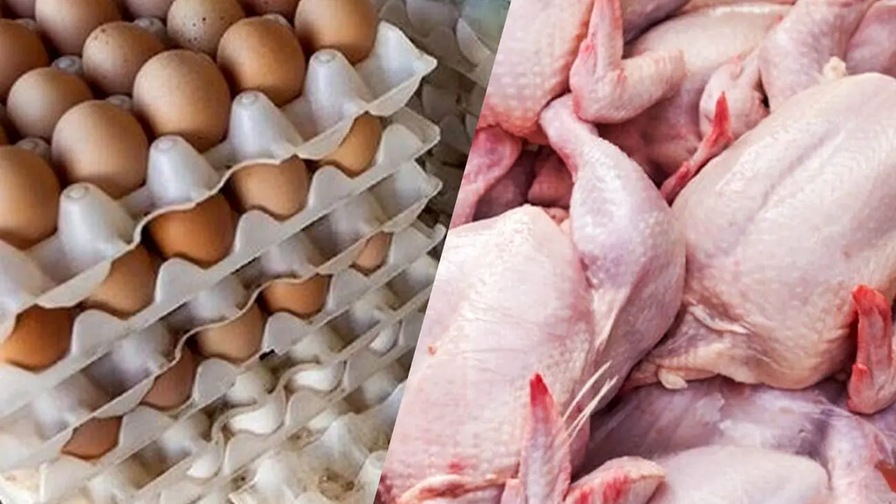 قیمت جدید مرغ و تخم‌مرغ در میادین میوه و تره بار / شانه 30 تایی تخم‌مرغ چند؟!