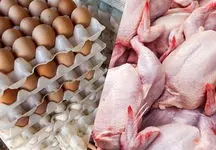 قیمت جدید مرغ و تخم‌مرغ در میادین میوه و تره بار / شانه 30 تایی تخم‌مرغ چند؟!