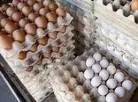 افت شدید قیمت تخم مرغ در بازار / شانه ای از ۶۰ الی ۹۰ هزار تومان !