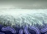 کشف دهها ویروس ناشناخته 15 هزار ساله از یخ‌های تبت