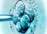 اولین نوزاد استرالیایی با روش جایگزین IVF متولد شد