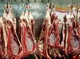 نگرانی در مورد سلامت گوشت‌های وارداتی از کنیا وجود ندارد