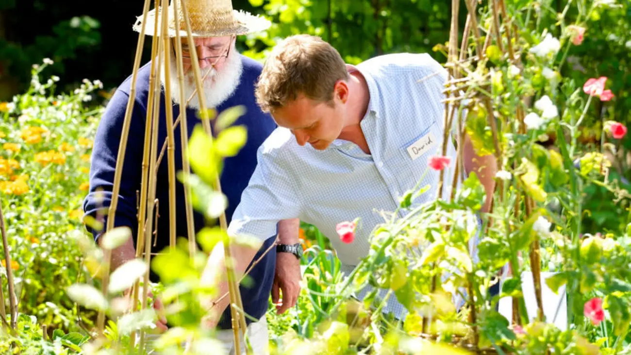 باغبانی می‌تواند به کاهش خطر ابتلا به سرطان و افزایش سلامت روان کمک کند