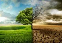 تأثیر تغییر اقلیم بر انواع بیماری‌ها